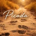Piçada meaning: what this Portuguese word really means and why it confuses everyone