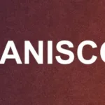 Fanisco Explained: What It Really Means, Where It Comes From, and Why It Keeps Showing Up