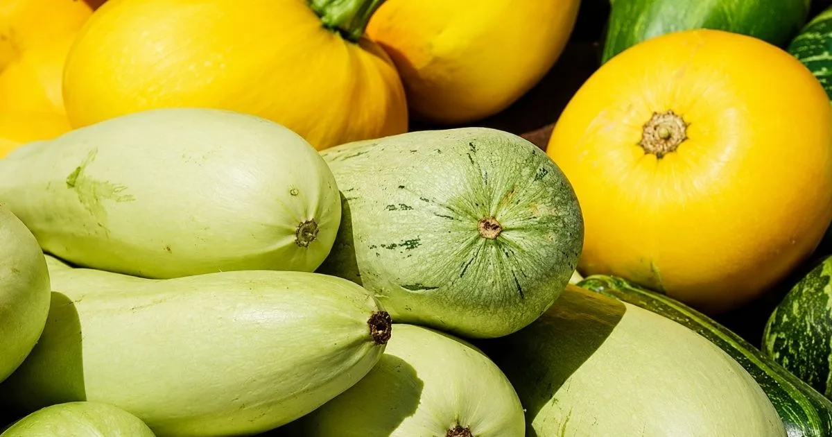 Ingredients Commonly Used in Soutaipasu