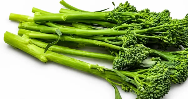 What Is Crocolini? Complete Guide to Nutrition, Benefits, Taste & Cooking (2026)