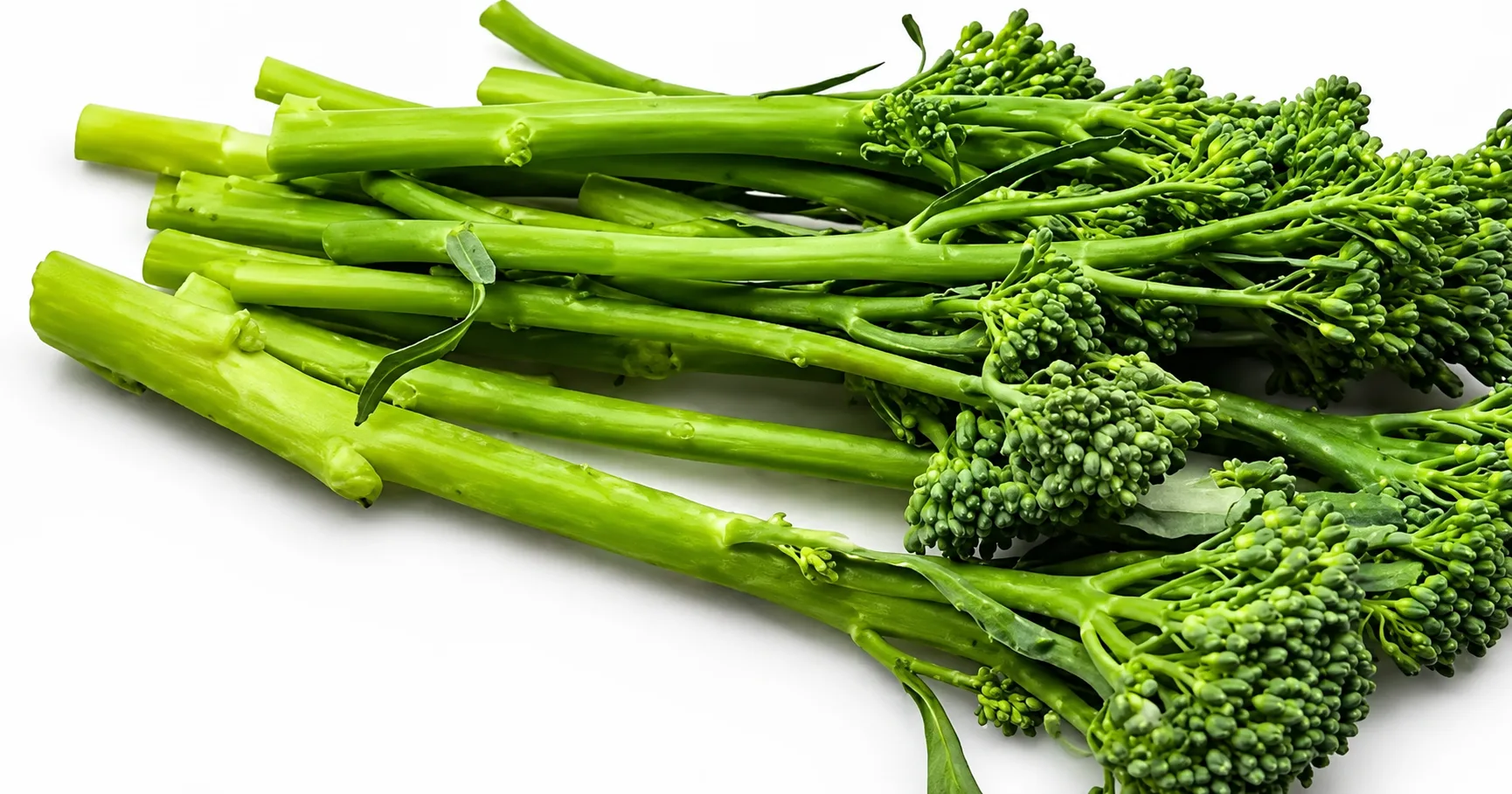 What Is Crocolini? Complete Guide to Nutrition, Benefits, Taste & Cooking (2026)